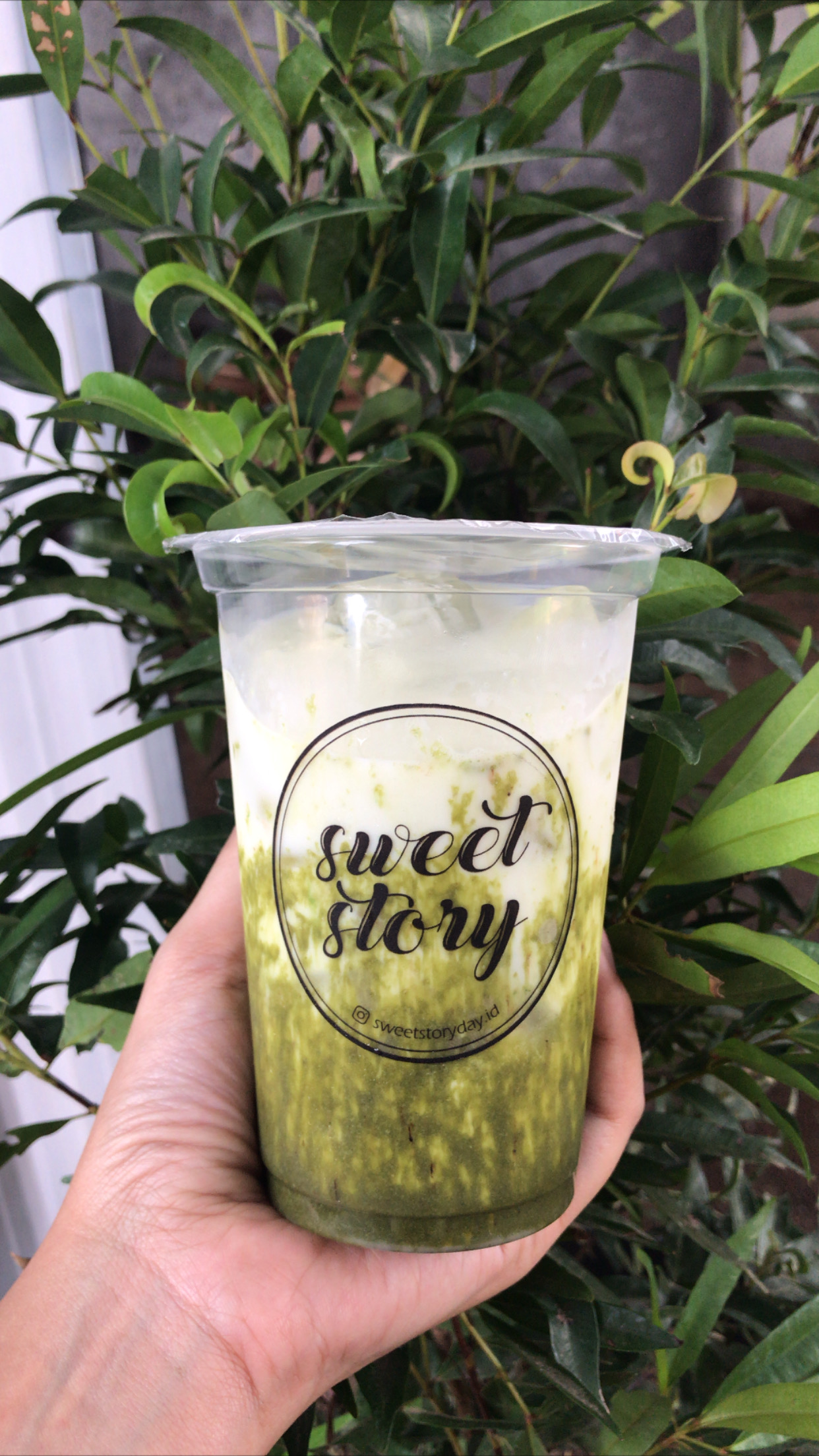 Greentea Latte SS